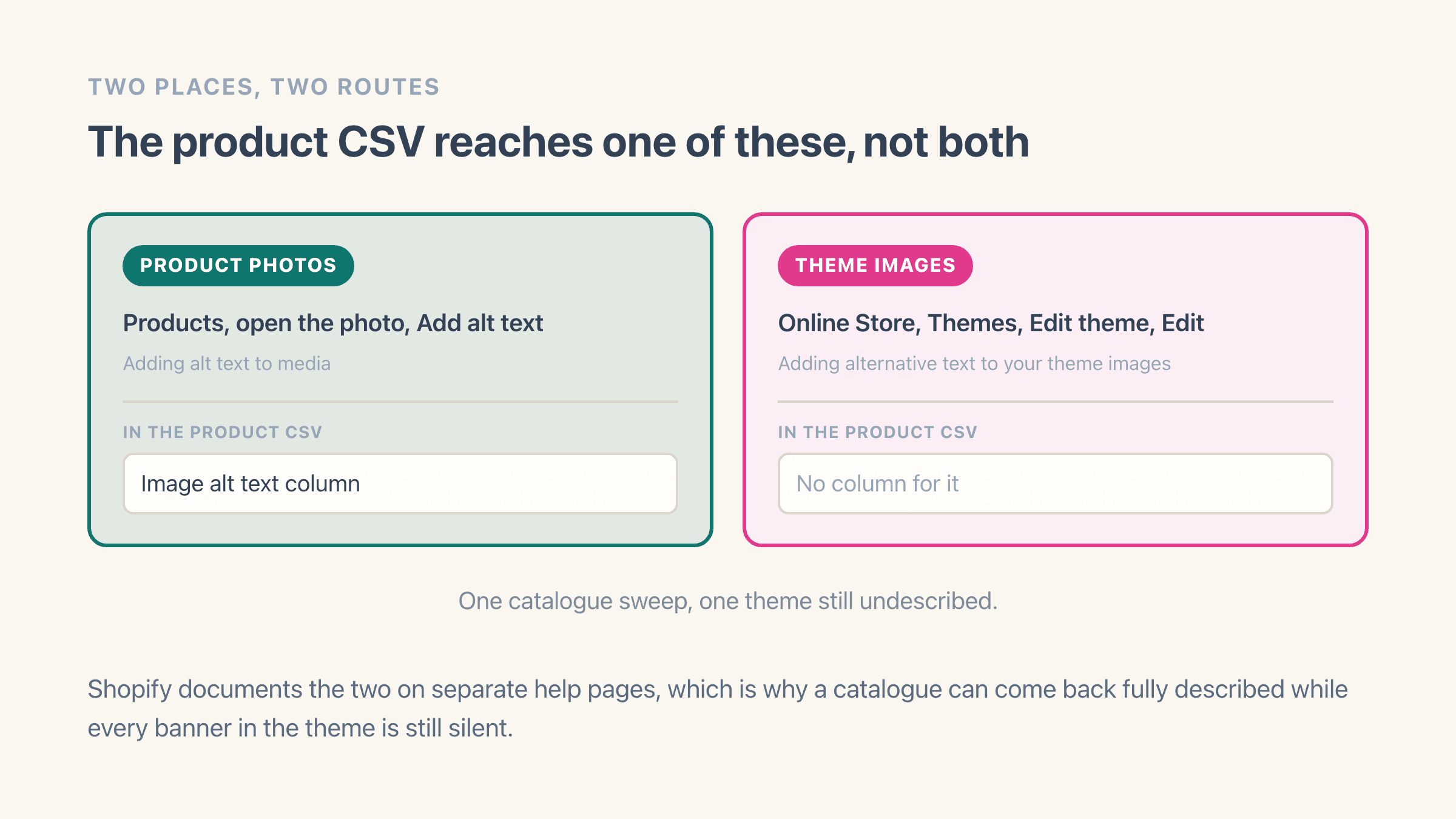 Two panels side by side. Product photos, where alt text is typed after opening the photo under Products, and which the product CSV reaches through its Image alt text column. Theme images such as logos and banners, where alt text is typed in the theme editor under Online Store and Themes, and which the product CSV has no column for.