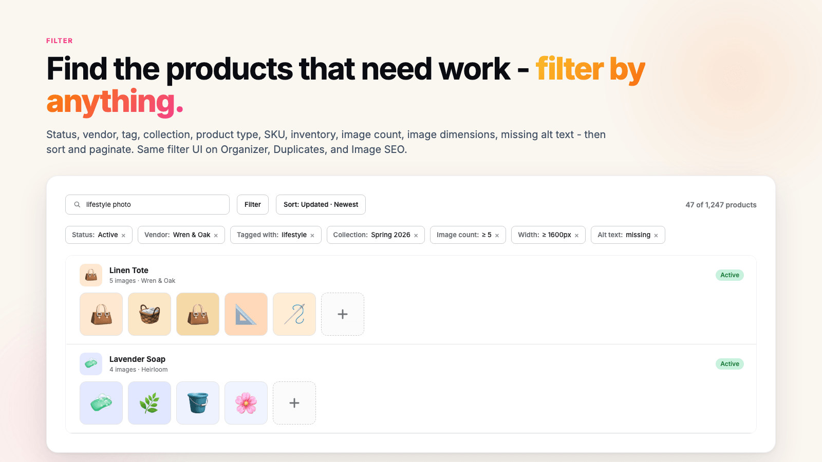 Applied filter chips reading status active, vendor, tagged with, collection, image count at least 5, width at least 1600px and alt text missing